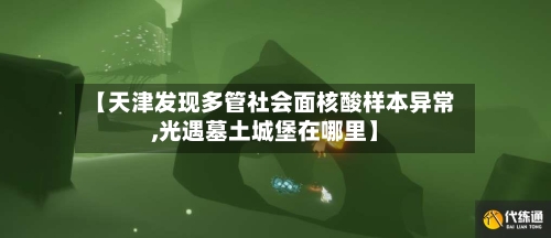 【天津发现多管社会面核酸样本异常,光遇墓土城堡在哪里】-第2张图片