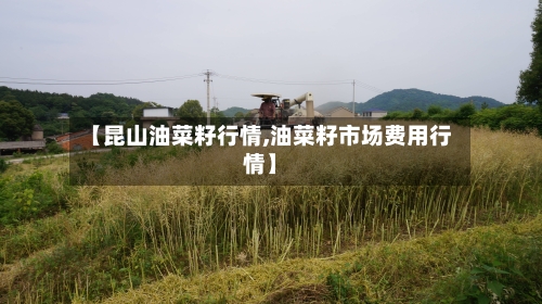 【昆山油菜籽行情,油菜籽市场费用行情】