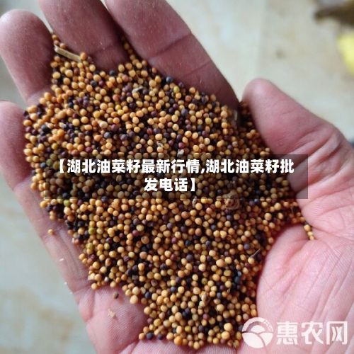 【湖北油菜籽最新行情,湖北油菜籽批发电话】-第2张图片