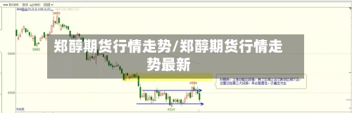 郑醇期货行情走势/郑醇期货行情走势最新