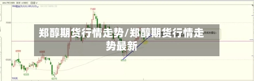 郑醇期货行情走势/郑醇期货行情走势最新-第2张图片