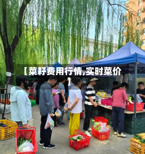 【菜耔费用行情,实时菜价】