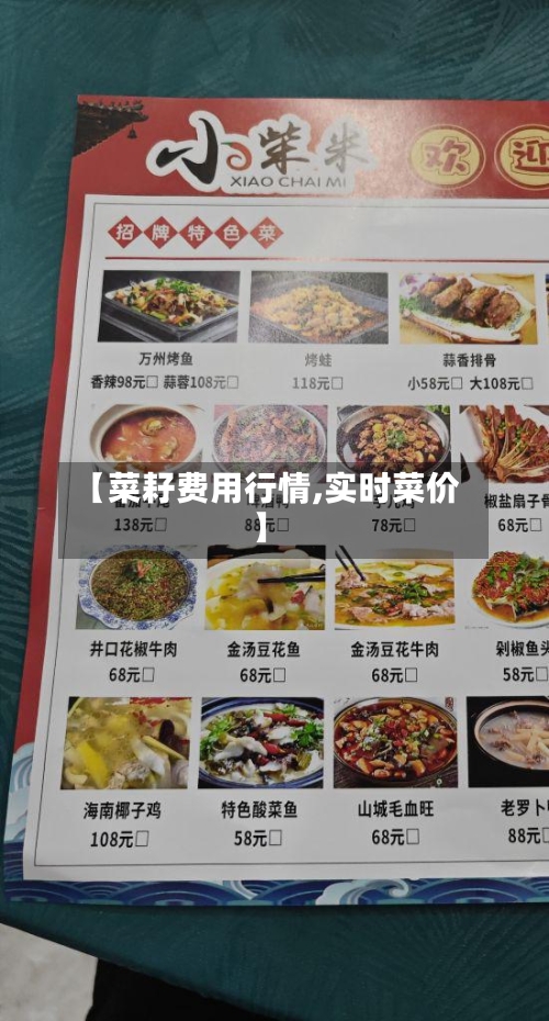【菜耔费用行情,实时菜价】-第2张图片