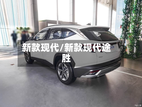 新款现代/新款现代途胜-第3张图片