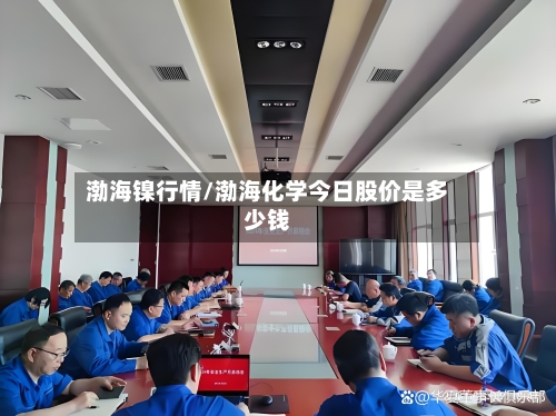 渤海镍行情/渤海化学今日股价是多少钱